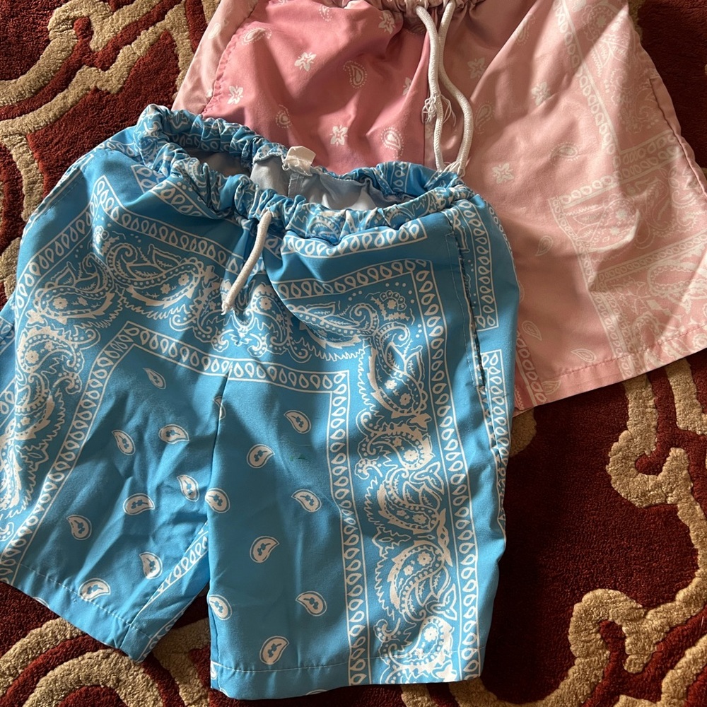 Kids Blue and Pink Paisley Shorts